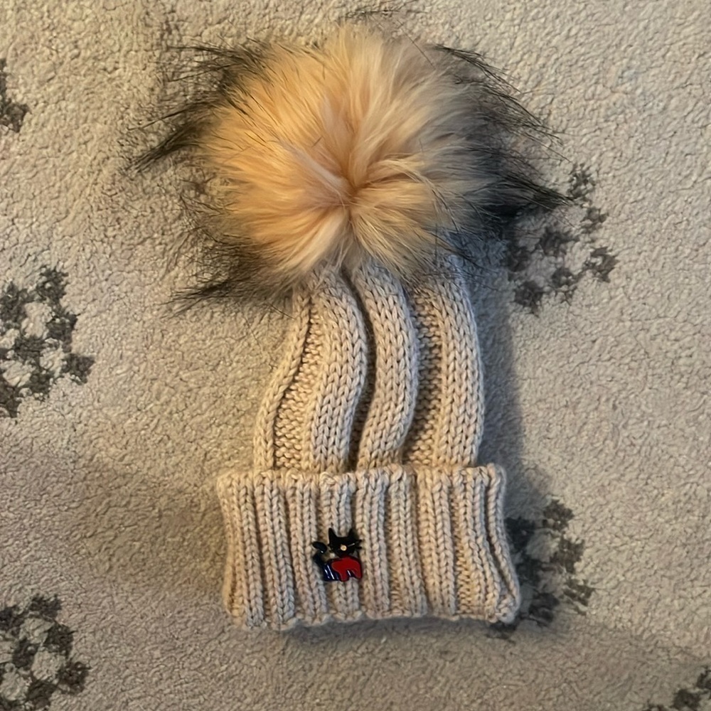 Beautiful high quality winter cat with little cat detail
